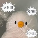 [W-27] 수원 웨딩홀 더마레보 웨딩 호텔 뷔페 - 본식 전 뷔페 시식 후기