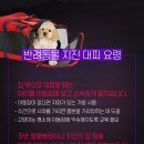 운정힐링 동물병원 이미지