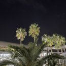 박장군식당 이미지