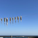 황가네식당 | 속초 1박2일 여행 뚜벅이코스 (황가네찜, 흰다정, 속초중앙시장, 해돋이명소)