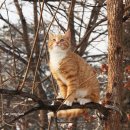 노랑노랑 이미지