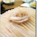 감포참가자미횟집 이미지