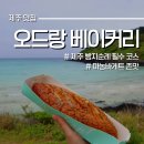 오드랑베이커리 마농바게트 제주 빵지순례 추천 코스 후기