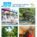 2025년 8월 국내 여행지 추천 베스트 10 (축제 포함) 이미지