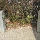 진주 의곡사 괘불도 Daum카페