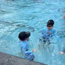 시민회관 실외수영장 앞 | 학교방학에 가기 좋았던 동두천 시민회관 실외수영장(솔직리뷰)