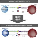 NK메디칼 이미지