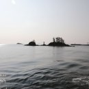 소금밭 교차로 2 이미지