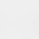 자라 앞 이미지