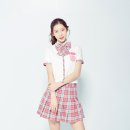 비둘기모사 이미지