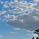 카페힐민박 이미지