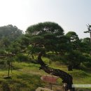 메이 캠프 이미지