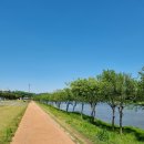 남강둔치(신안동~평거동) 이미지