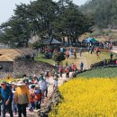 당리푸른 이미지