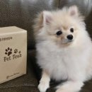 주식회사 우리가제약 이미지