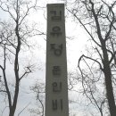 김유정 행장비 Daum카페