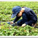 준상농장 이미지