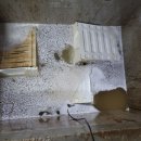 (주)세정기업 이미지