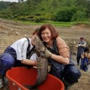 봉하농촌 체험마을 이미지