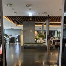 해피핸드 | 앰배서더 서울 동대문 : 프리미어 스위트 이그제큐티브 15층 객실 후기/[티 타임/해피아워/조식] 후기