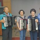 아코디언 이미지