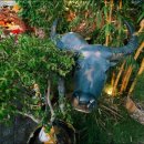 사가농장 | 푸꾸옥 프리미어 레지던스 맛집 + 마사지 솔직후기