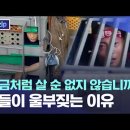 조선소가 하청업체한테 저질러온 행태 (이들이 울부짖는 이유_뉴스.zip/MBC뉴스) 이미지