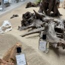 해운대 | 부산 공방 데이트 해운대 가볼만한곳 부산향수공방 닷노트 해운대 후기