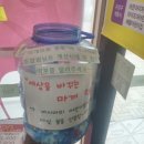 자연드림월평점