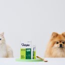 전미래헤어월드 이미지