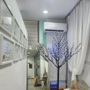 속눈썹 펌 내돈 내산 후기---&gt; 안테라피 병점