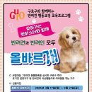 The행복한동물병원 이미지