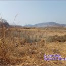 신도리-5 이미지