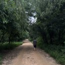 데일리프로젝트 피트니스 이미지