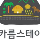 스테이다정 이미지