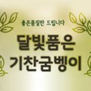 약석농장 | 달빛부부굼벵이]엄마를 위해 준비한 굼벵이환과 굼뱅이비누 후기