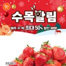 (주)행복한식자재할인마트 네이버블로그