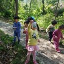 솔애유치원 이미지