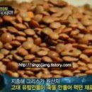 그린건강마을