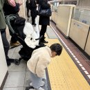 대성카프라자 | 33개월 아기와 후쿠오카여행ㅣ유후인 구경, 긴린코호수, 주차, 길거리 음식, 하카타역 크리스마스 마켓