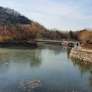 나무테크 이미지