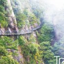 신선만나 이미지