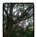 비자숲민박 이미지