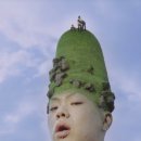 비디오나라 이미지