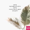 더큰행복11