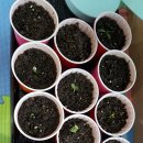 신정농장 이미지