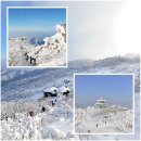 ▣ 무주:- 북덕유산 향적봉 설경 &amp; 스키 와 스노보드 타는 사람들 이미지