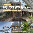 마산-진동-동-비-8 | "한국 관광 100선" 포항 환호공원 식물원 입장료부터 스페이스워크 운영시간까지