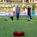 운학삼돌이마을 | 영월 1박 2일 여행, 삼돌이마을에서의 특별한 하루 A special day at Samdoli Village, a two-day, one...