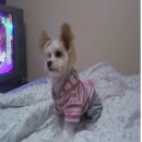 성북역 앞 이미지